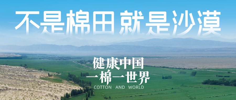 链接天下，，，，引领康健生涯，，，，利来w66集团受邀亮相首届链博会