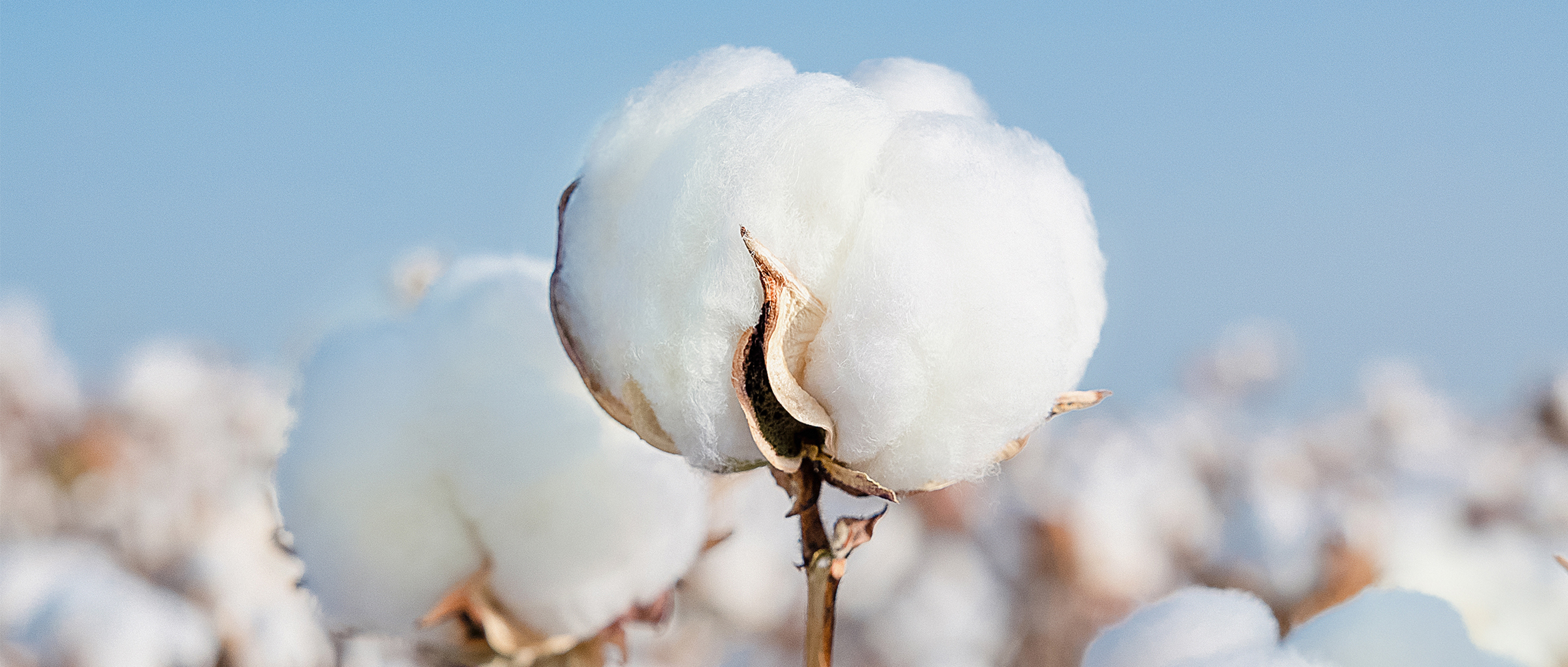 一图读懂利来w66集团2024年度ESG报告